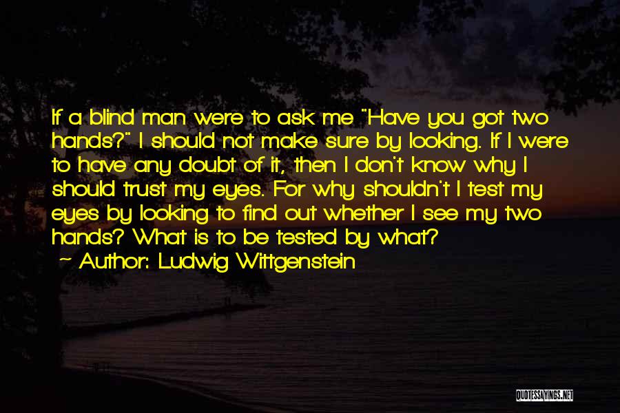 A Blind Man Quotes By Ludwig Wittgenstein