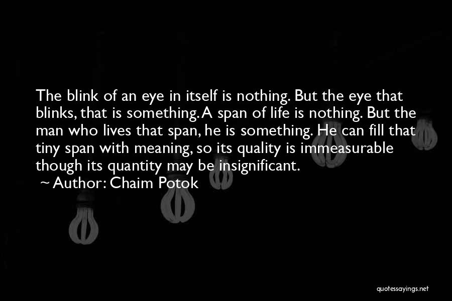 A Blink Of An Eye Quotes By Chaim Potok