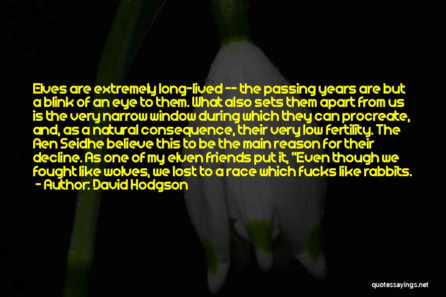 A Blink Of An Eye Quotes By David Hodgson