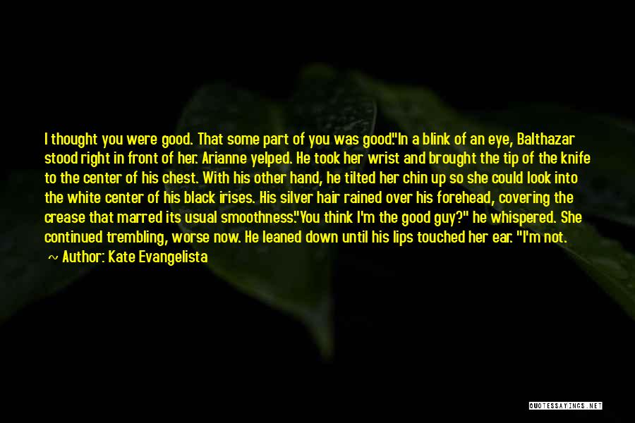 A Blink Of An Eye Quotes By Kate Evangelista