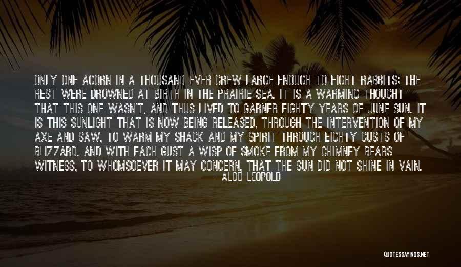 A Blizzard Quotes By Aldo Leopold A Blizzard Quotes By Aldo Leopold