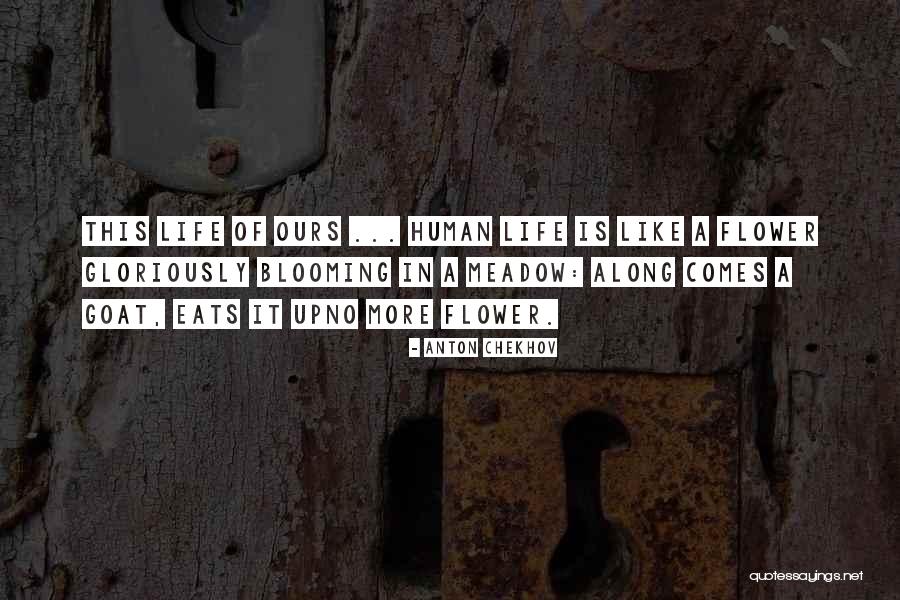 A Blooming Flower Quotes By Anton Chekhov A Blooming Flower Quotes By Anton Chekhov
