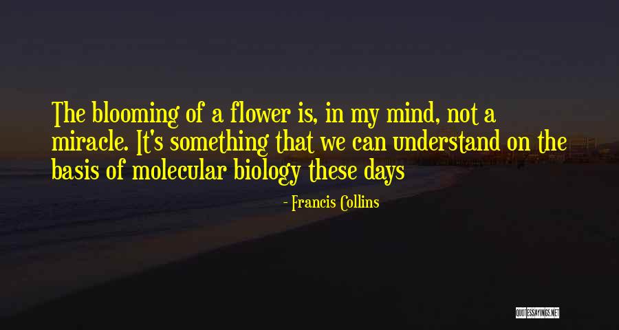 A Blooming Flower Quotes By Francis Collins A Blooming Flower Quotes By Francis Collins
