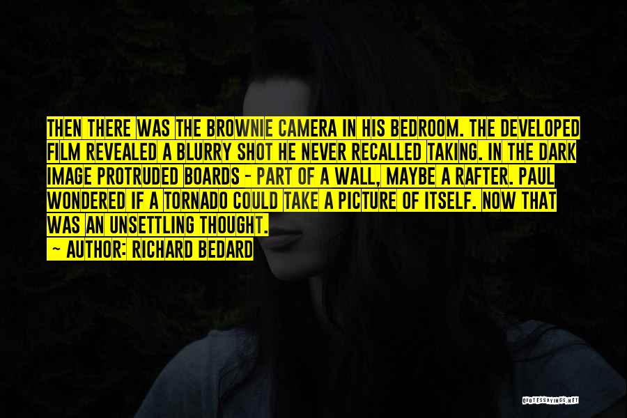 A Blurry Picture Quotes By Richard Bedard