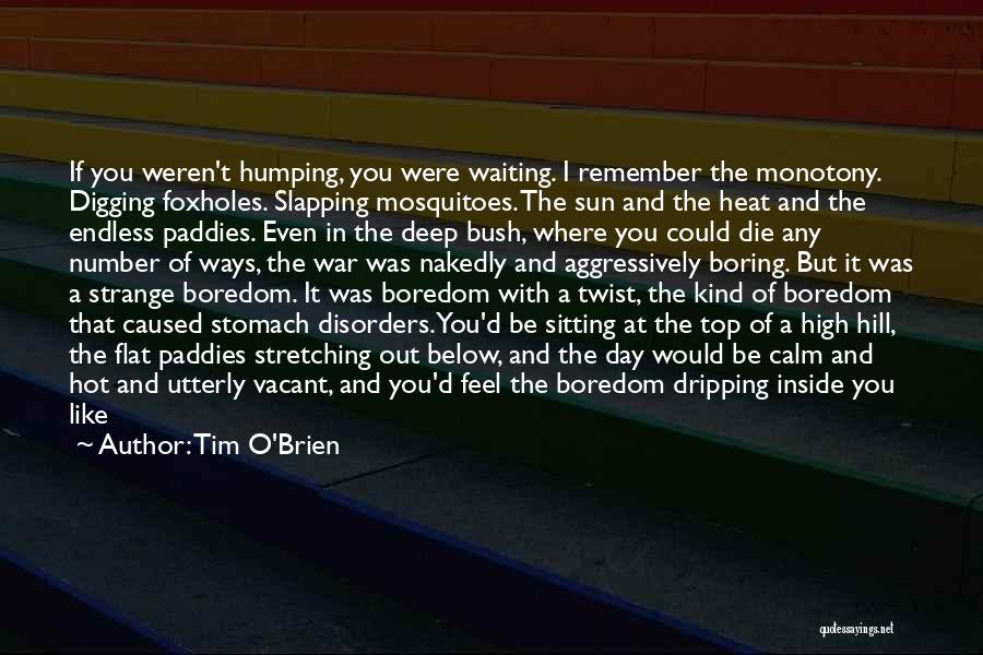 A Boring Day Quotes By Tim O'Brien