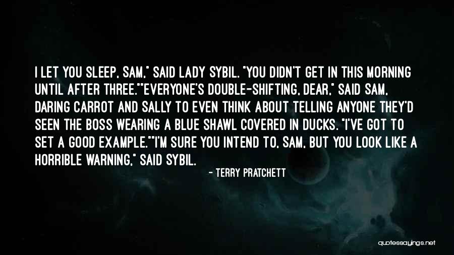 A Boss Lady Quotes By Terry Pratchett