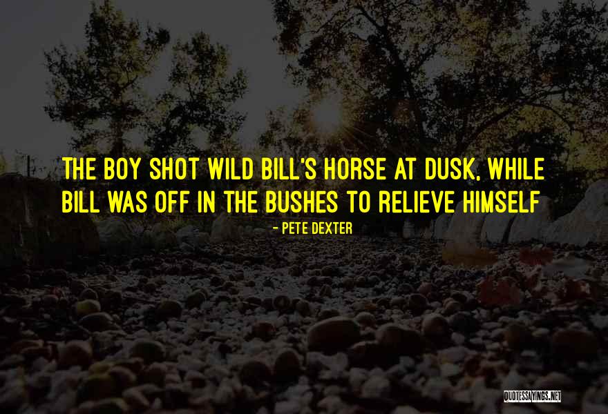 A Boy And His Horse Quotes By Pete Dexter A Boy And His Horse Quotes By Pete Dexter