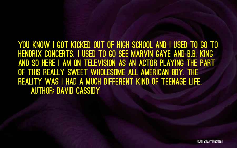 A Boy Playing You Quotes By David Cassidy