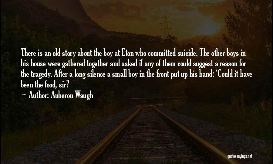 A Boy Quotes By Auberon Waugh
