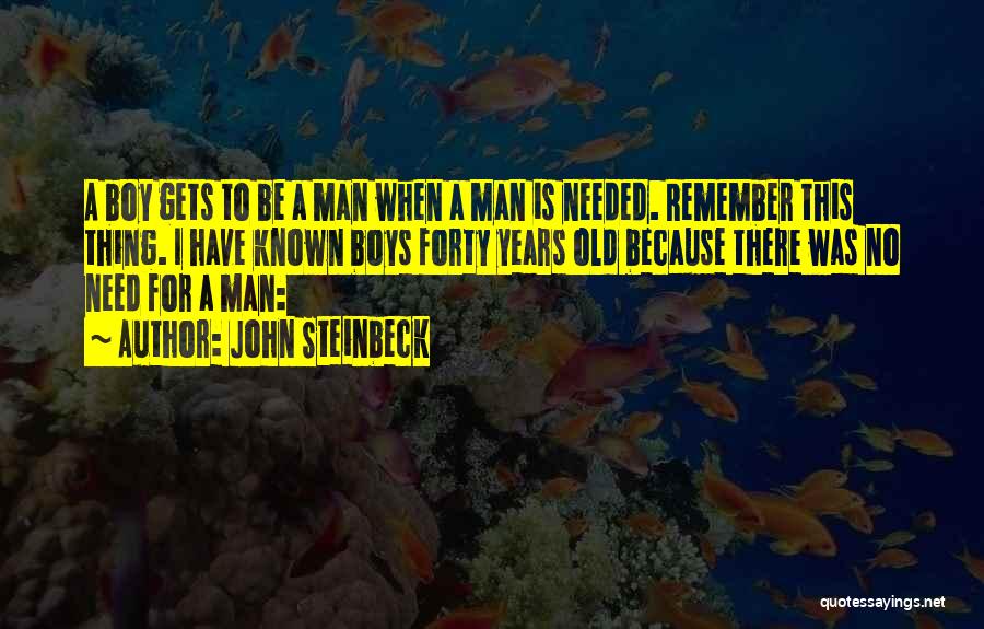 A Boy Quotes By John Steinbeck