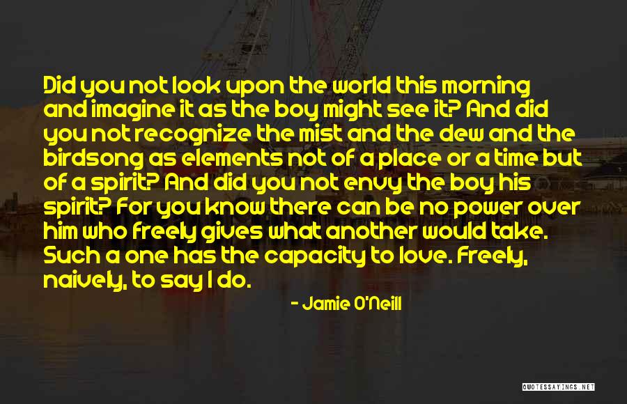 A Boy U Love Quotes By Jamie O'Neill