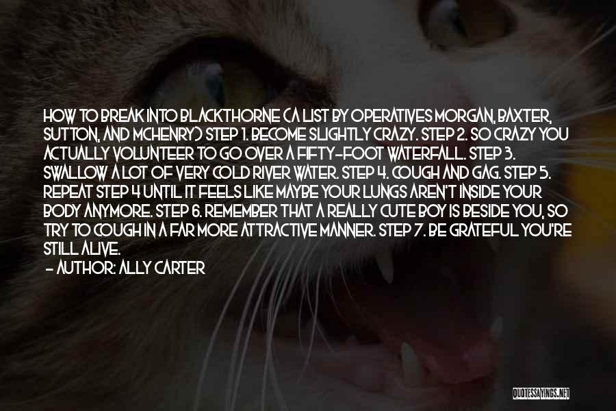 A Boy You Like A Lot Quotes By Ally Carter