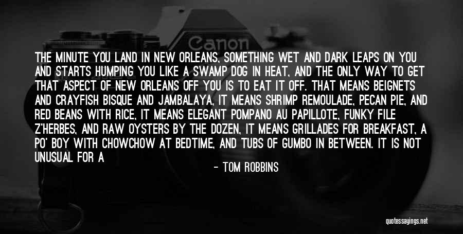 A Boy You Like A Lot Quotes By Tom Robbins