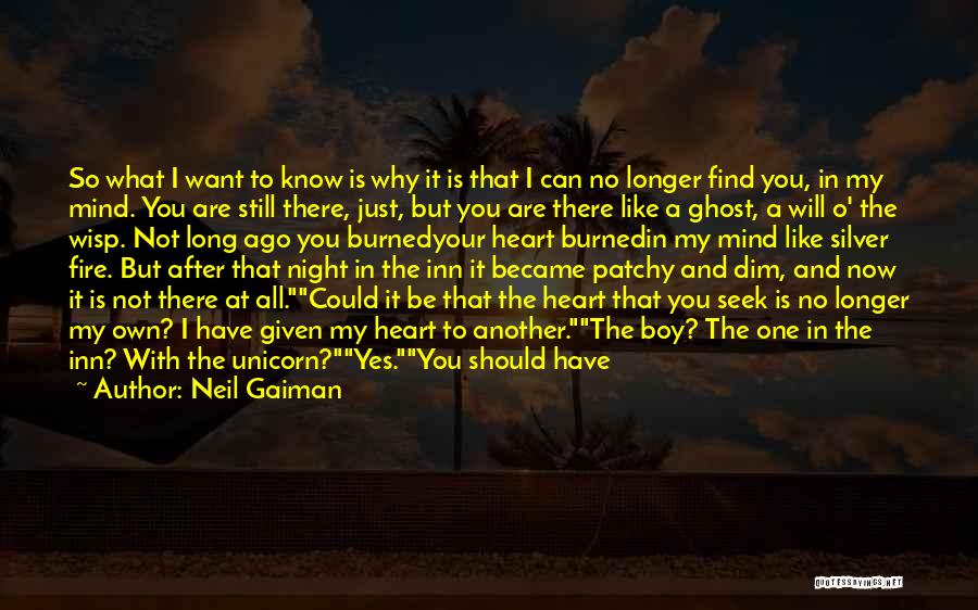 A Boy You Like But Can't Have Quotes By Neil Gaiman