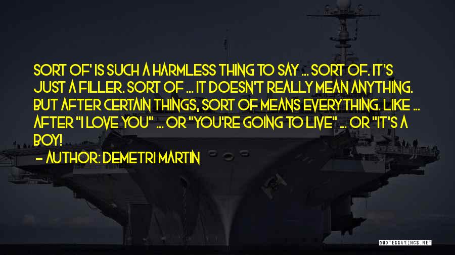 A Boy You Love Quotes By Demetri Martin