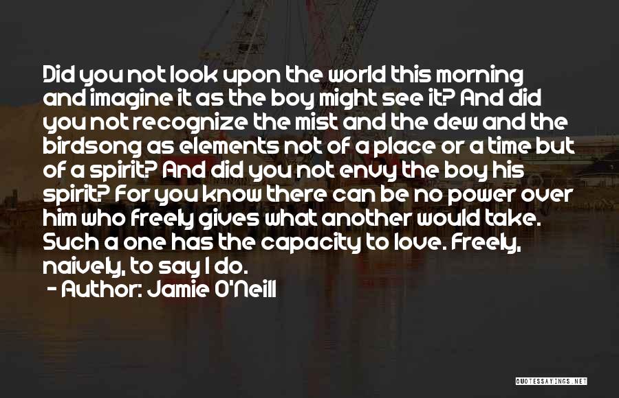 A Boy You Love Quotes By Jamie O'Neill