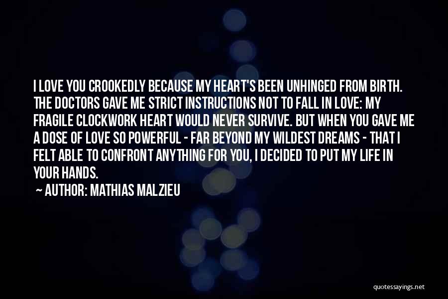 A Boy You Love Quotes By Mathias Malzieu