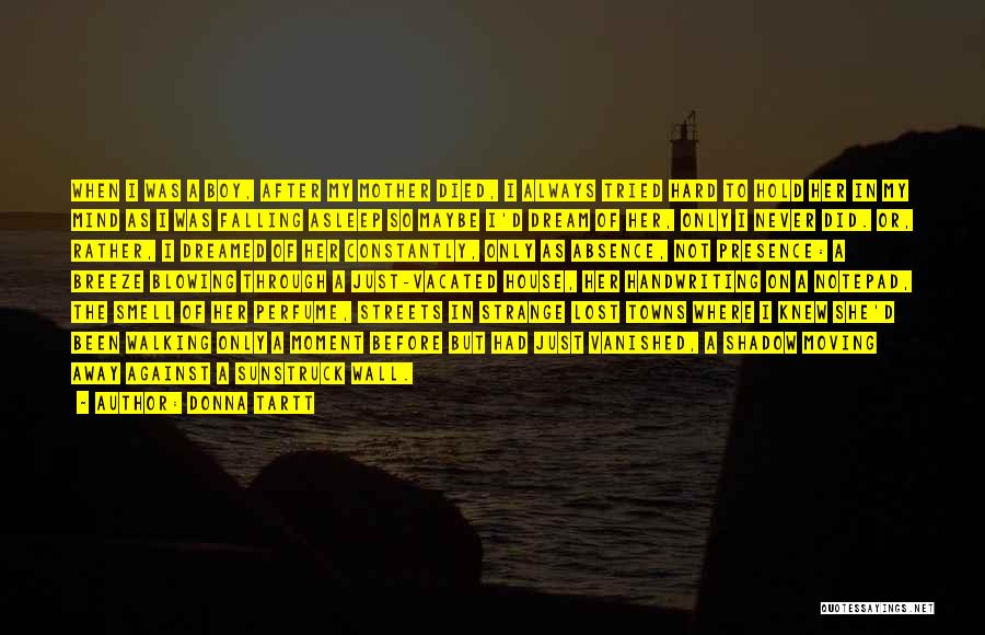A Boy You're Falling For Quotes By Donna Tartt A Boy You're Falling For Quotes By Donna Tartt