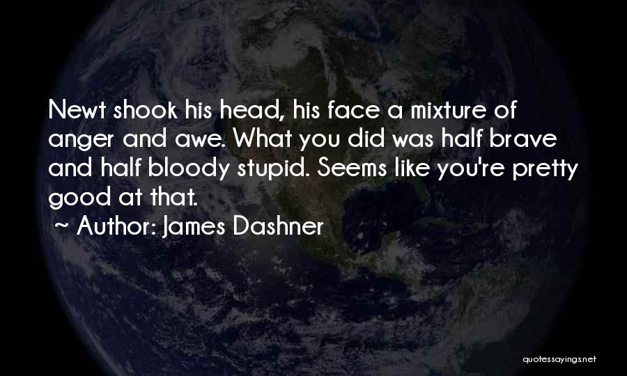 A Brave Face Quotes By James Dashner