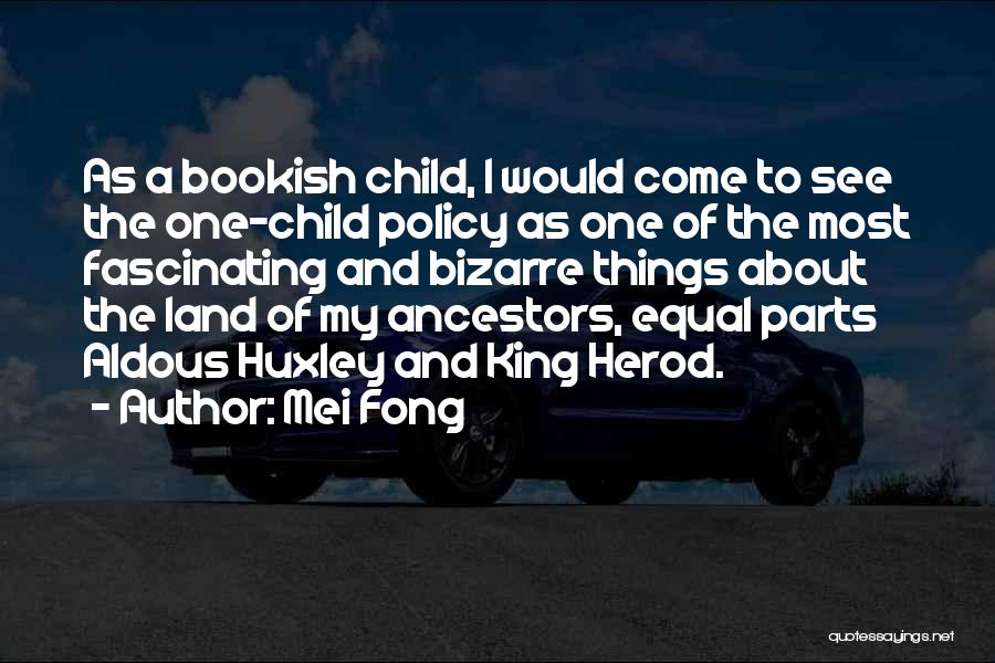 A Brave New World Quotes By Mei Fong