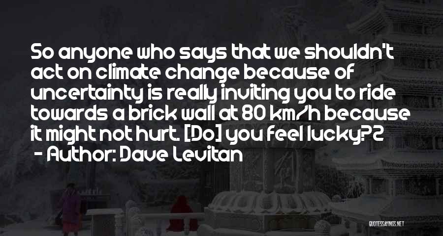 A Brick Wall Quotes By Dave Levitan