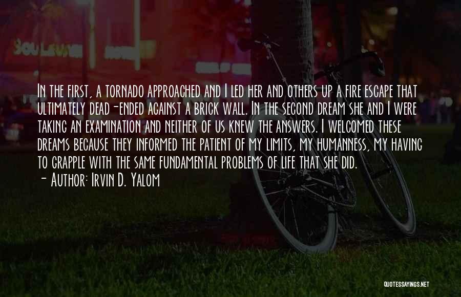 A Brick Wall Quotes By Irvin D. Yalom