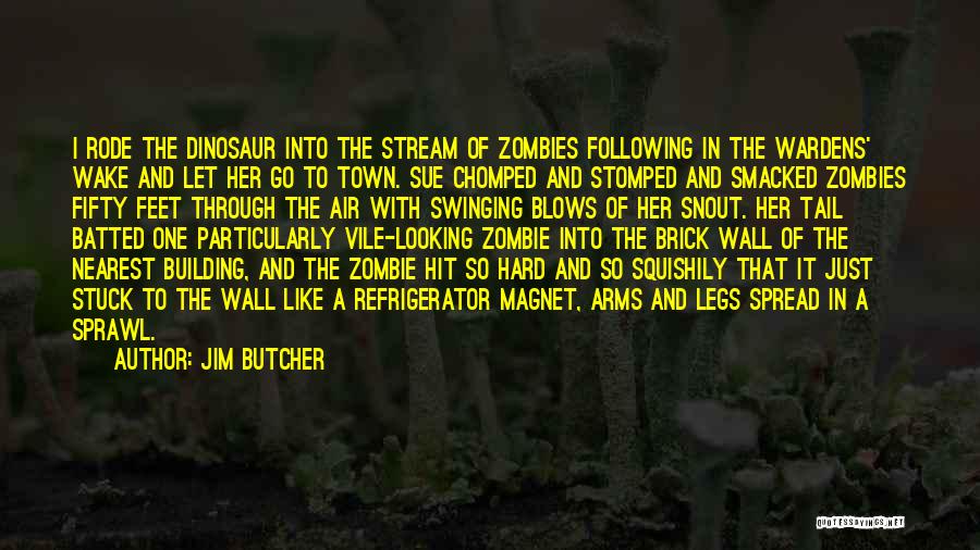 A Brick Wall Quotes By Jim Butcher