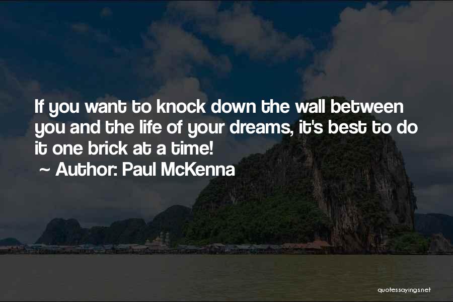 A Brick Wall Quotes By Paul McKenna