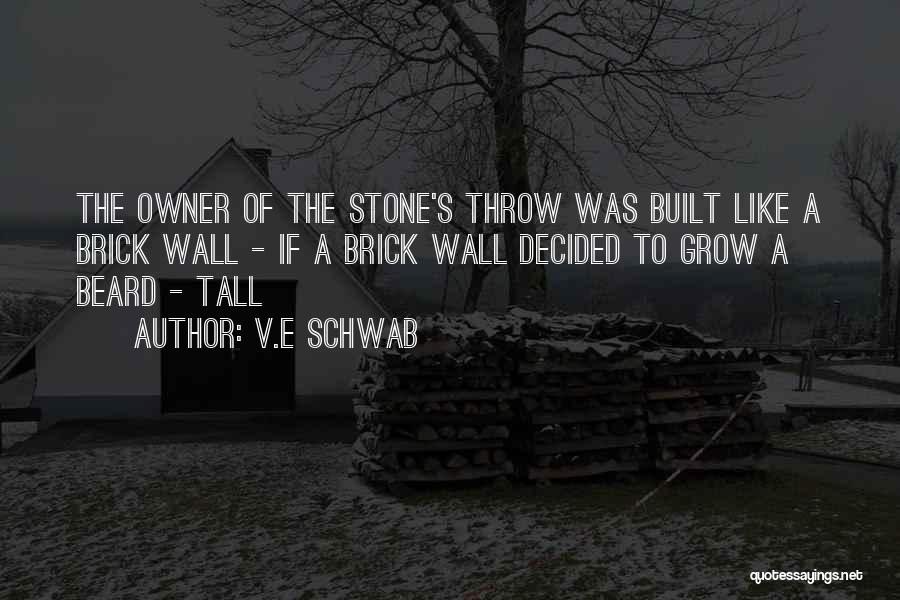 A Brick Wall Quotes By V.E Schwab