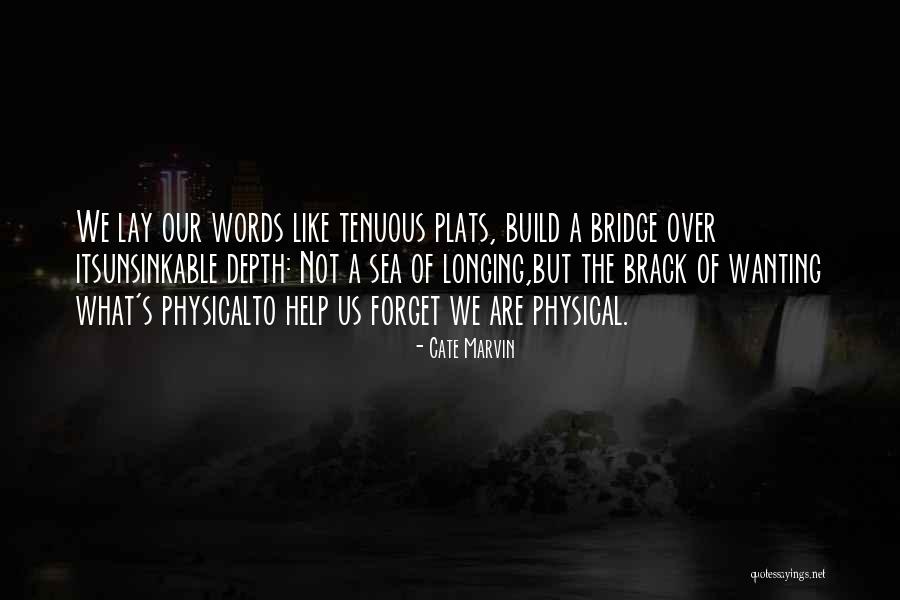 A Bridge Quotes By Cate Marvin A Bridge Quotes By Cate Marvin