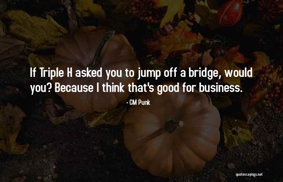 A Bridge Quotes By CM Punk A Bridge Quotes By CM Punk