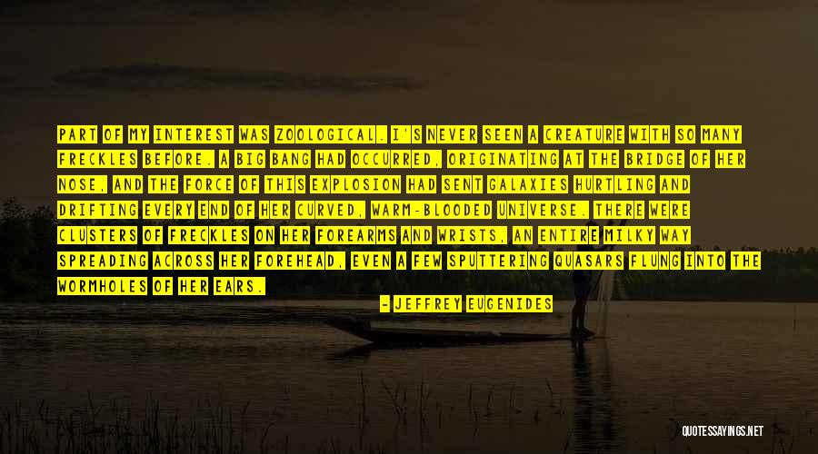 A Bridge Quotes By Jeffrey Eugenides A Bridge Quotes By Jeffrey Eugenides