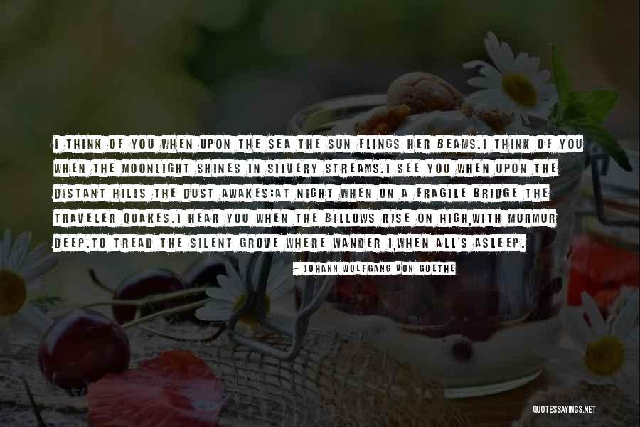 A Bridge Quotes By Johann Wolfgang Von Goethe A Bridge Quotes By Johann Wolfgang Von Goethe