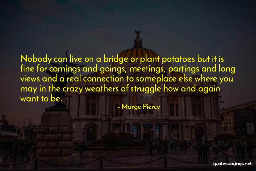 A Bridge Quotes By Marge Piercy A Bridge Quotes By Marge Piercy