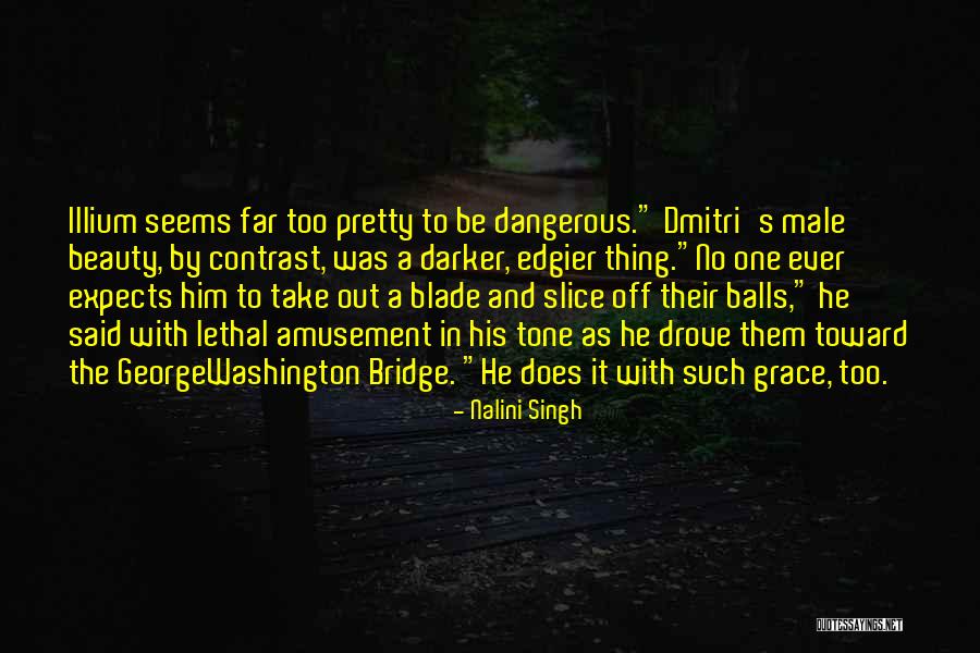 A Bridge Quotes By Nalini Singh A Bridge Quotes By Nalini Singh