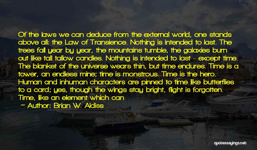 A Bright Future Quotes By Brian W. Aldiss