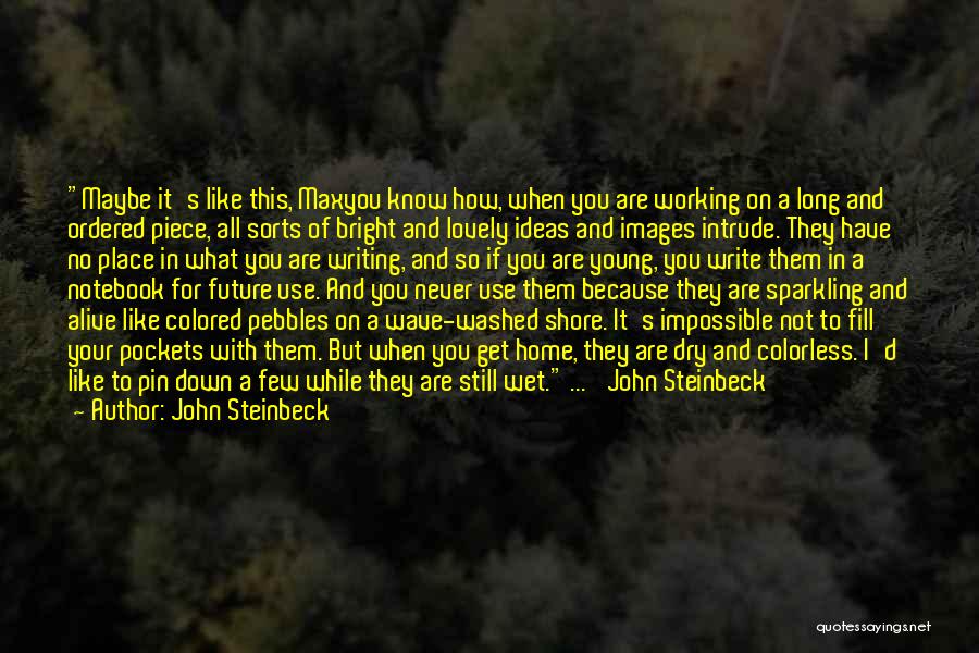 A Bright Future Quotes By John Steinbeck