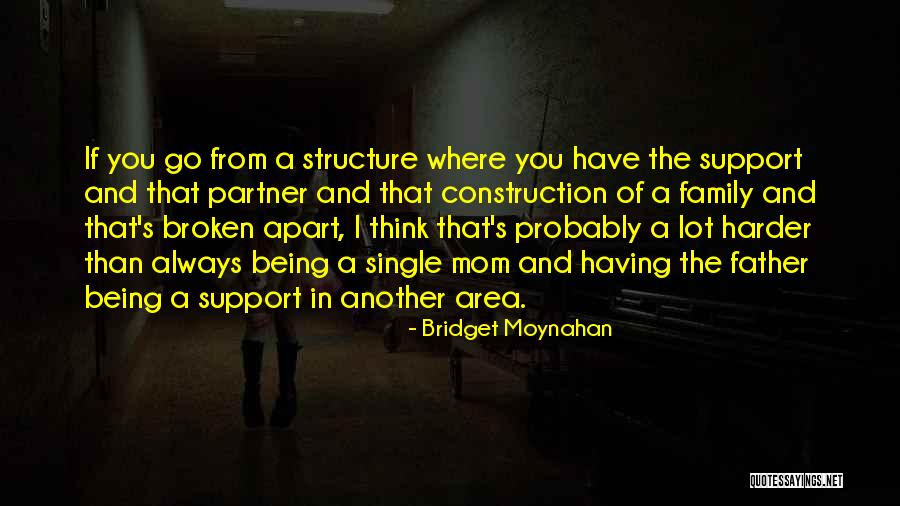 A Broken Family Quotes By Bridget Moynahan A Broken Family Quotes By Bridget Moynahan