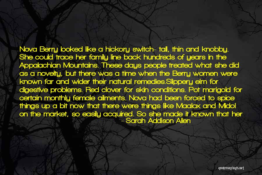 A Broken Family Quotes By Sarah Addison Allen A Broken Family Quotes By Sarah Addison Allen