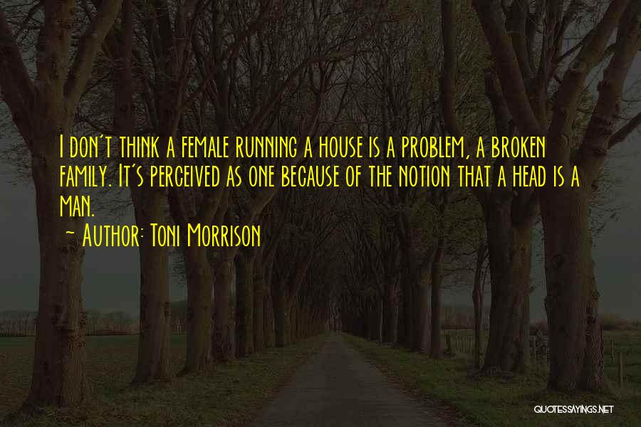 A Broken Family Quotes By Toni Morrison