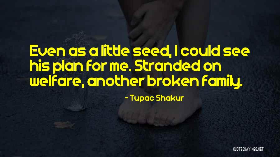 A Broken Family Quotes By Tupac Shakur