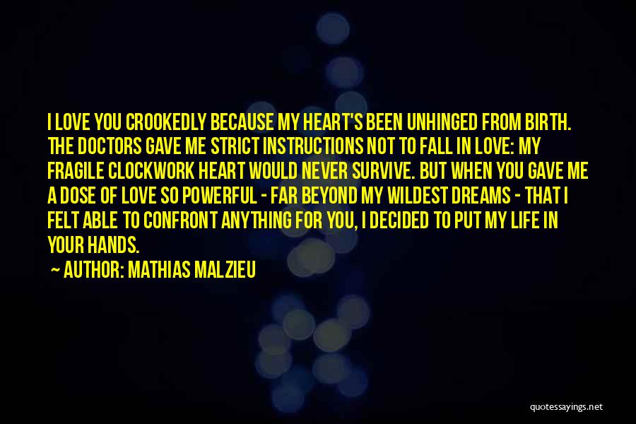 A Broken Hearted Boy Quotes By Mathias Malzieu