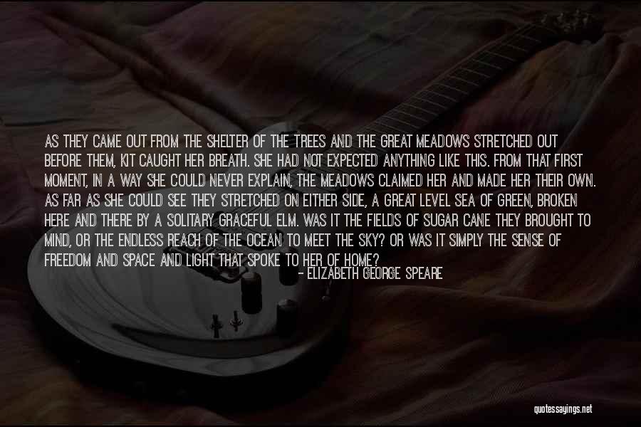 A Broken Home Quotes By Elizabeth George Speare A Broken Home Quotes By Elizabeth George Speare
