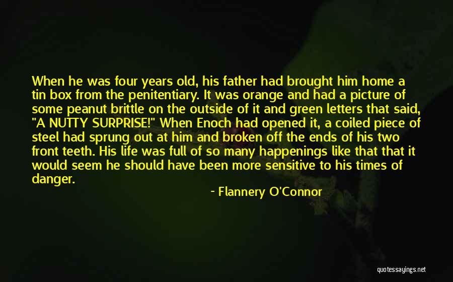 A Broken Home Quotes By Flannery O'Connor A Broken Home Quotes By Flannery O'Connor