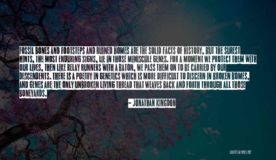 A Broken Home Quotes By Jonathan Kingdon A Broken Home Quotes By Jonathan Kingdon
