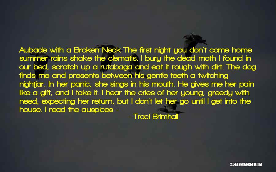 A Broken Home Quotes By Traci Brimhall A Broken Home Quotes By Traci Brimhall
