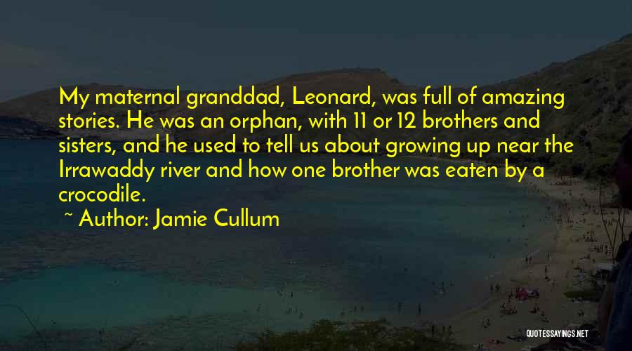 A Brother Quotes By Jamie Cullum