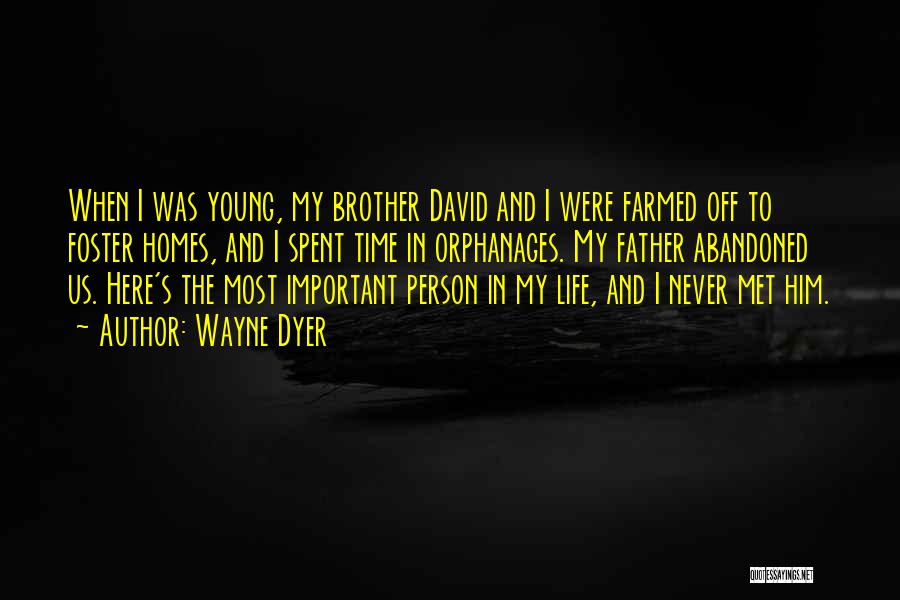 A Brother You Never Met Quotes By Wayne Dyer