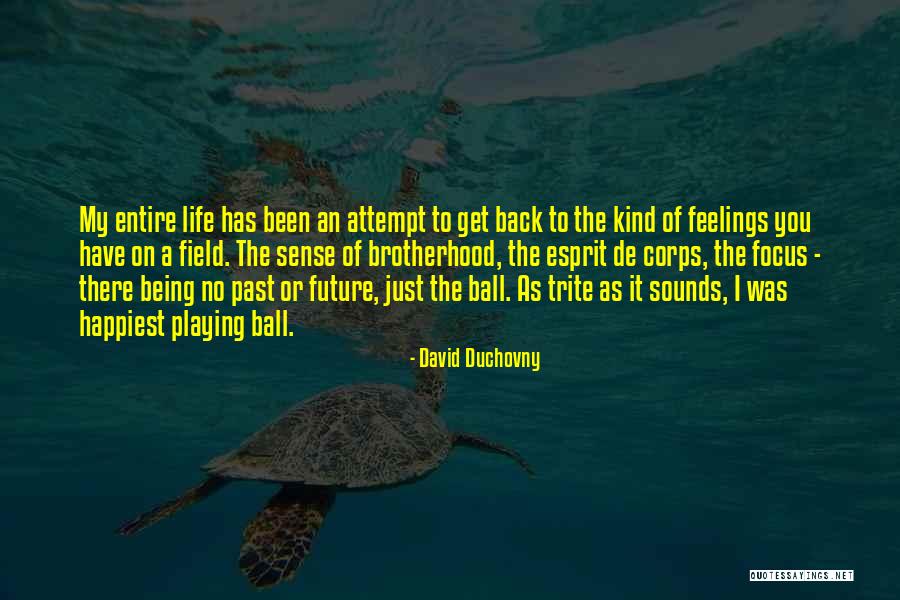 A Brotherhood Quotes By David Duchovny