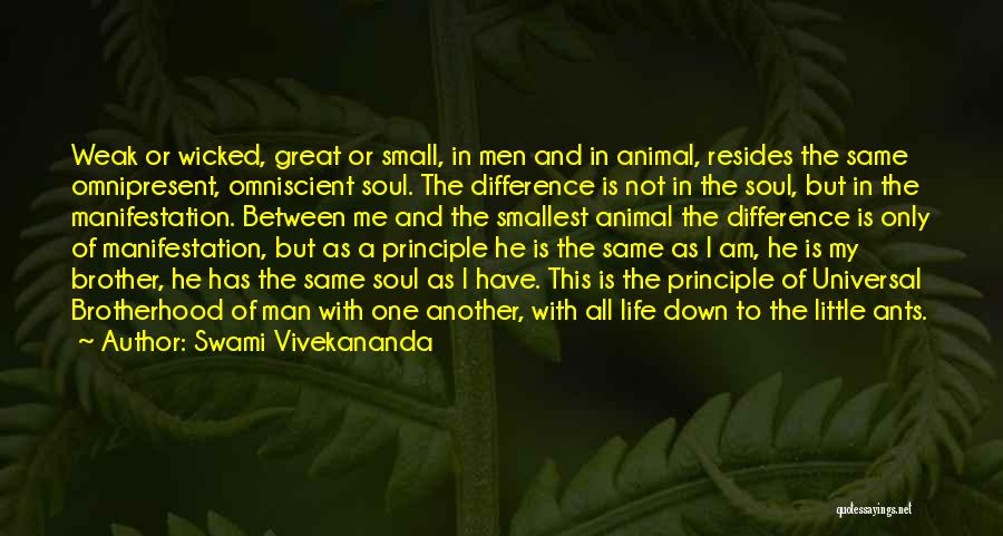 A Brotherhood Quotes By Swami Vivekananda